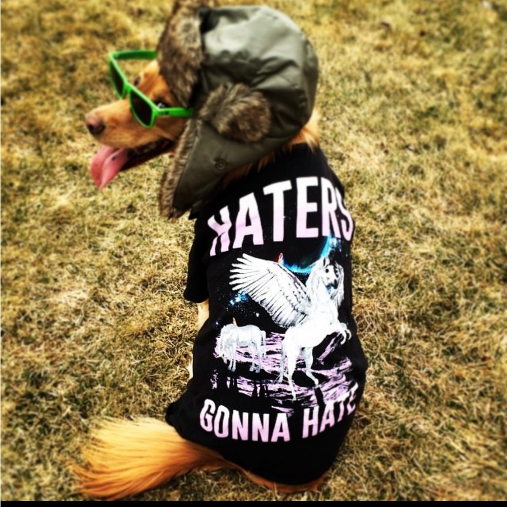 This is amazing things from DeeOgee ( D O G) customized to you . - Picture 6 of 11